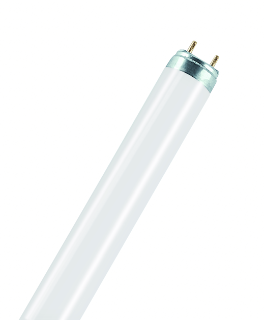 Tube LED T8 Osram Bio-Lumilux 36 EM - 1200 Mm, 15W, Lumière Froide 6500K, Culot G13