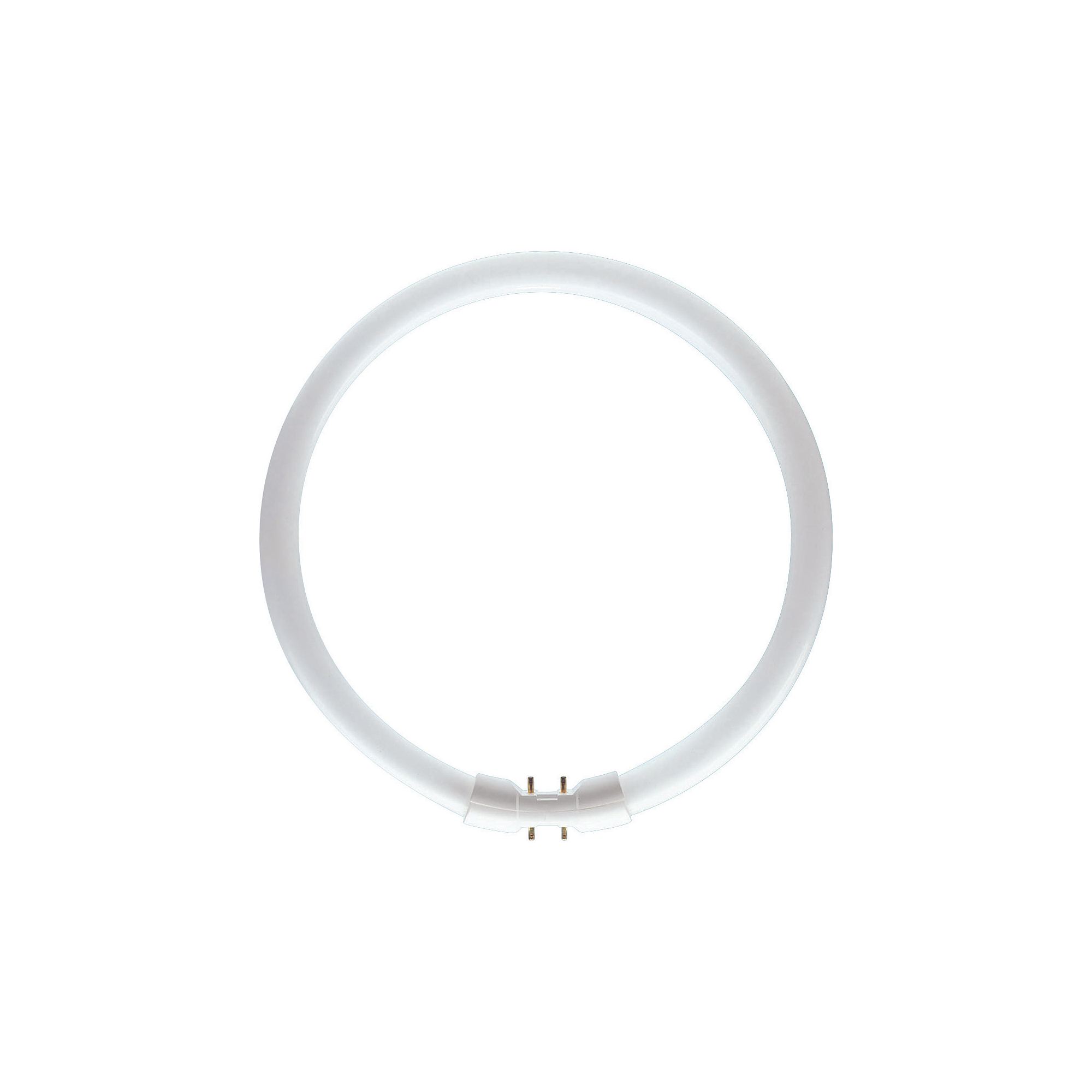 Philips Master TL5 Circular Ring 22W 840 2GX13