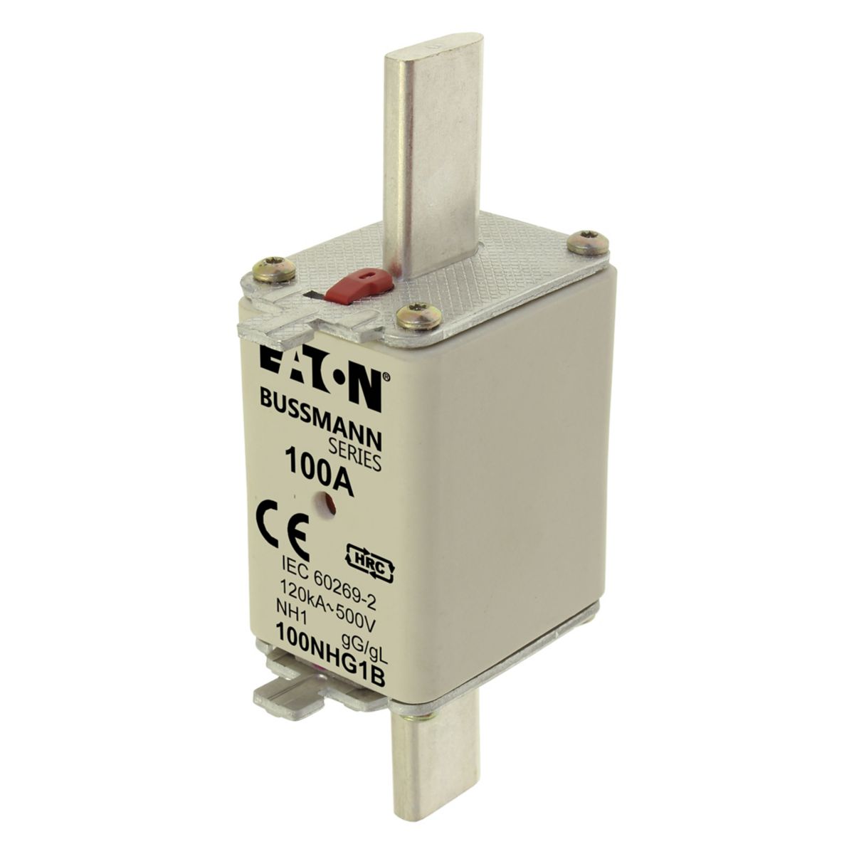 NH-1 500V GG/GL 100A