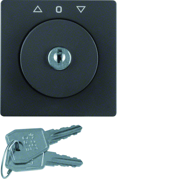 hager Centre plate bld.sw. 3851/3852 ant