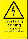 SKYLT LIVSFARLIG LEDNING UMEÅ