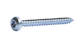 prof Panhead screw prof zn t20 4x30 200