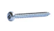prof Panhead screw prof zn t10 3x20 30pcs