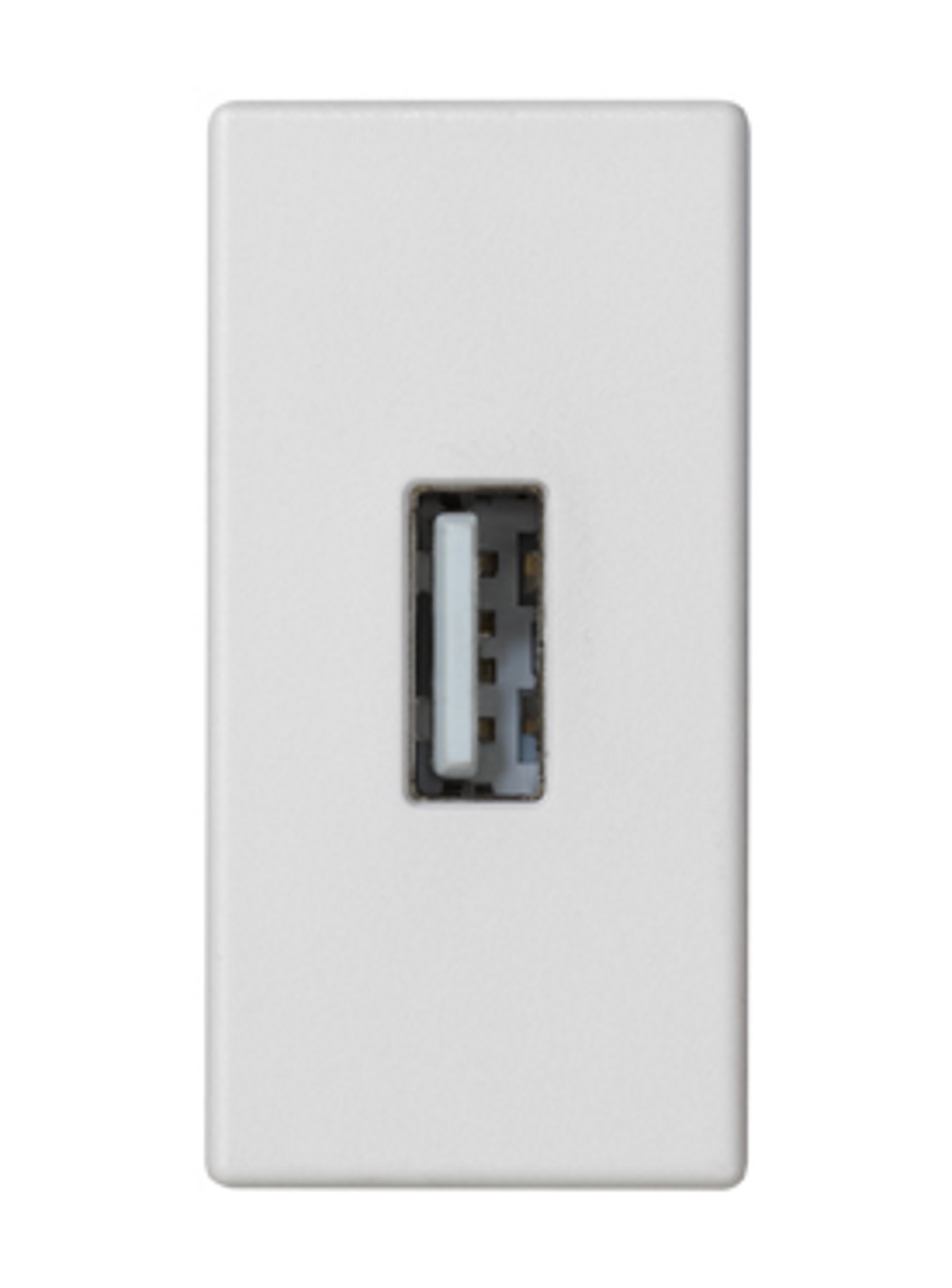 RAM USB-UTTAG VIT