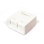 PÅ PUTS DOSA 2XRJ45 CAT6/CAT6A