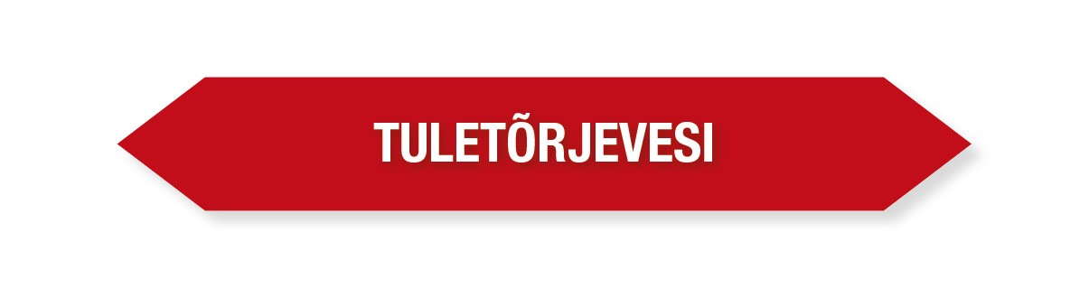 KLEEBIS TULETÕRJEVESI 16tk