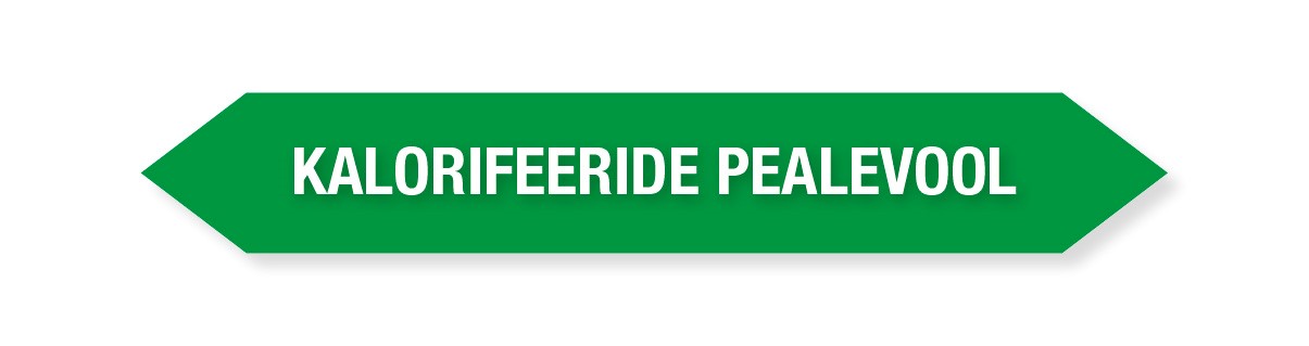 KLEEBIS KALORIFEERIDE PEALEVOOL 16tk