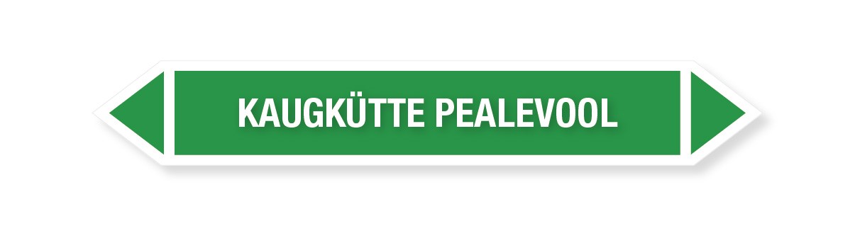 KLEEBIS KAUGKÜTTE PEALEVOOL 16tk