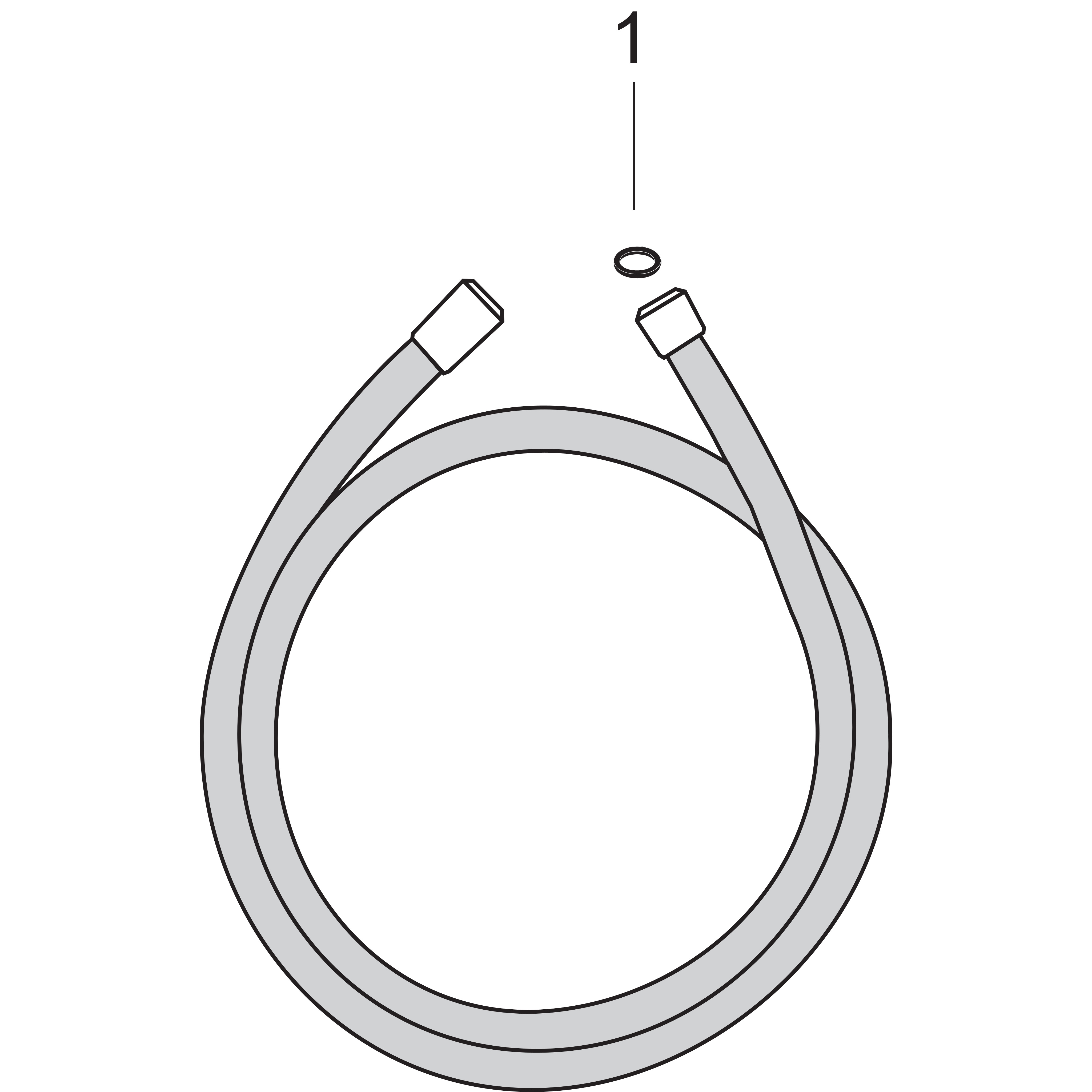 hansgrohe Duschslang hansgrohe 31460000 metris s