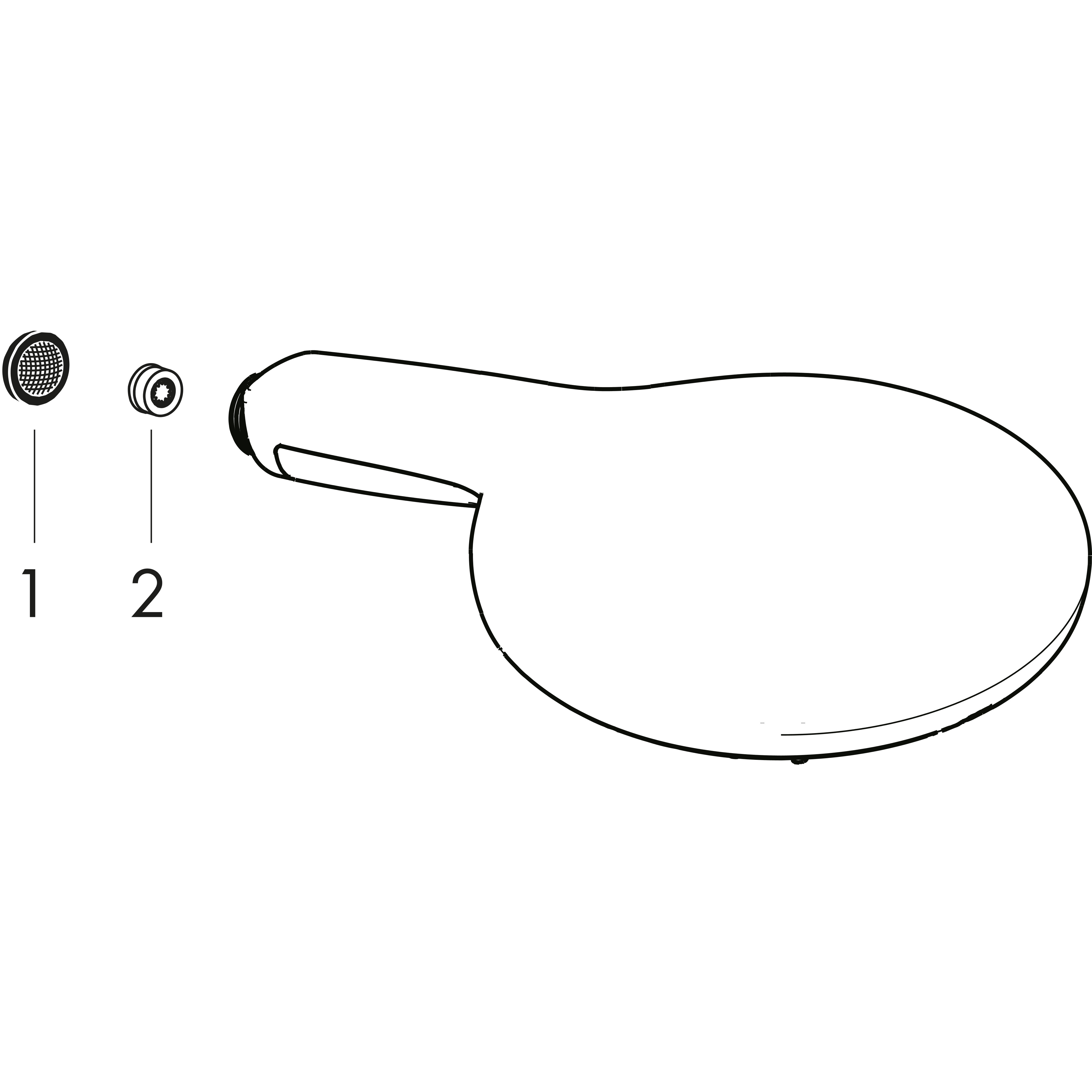 hansgrohe Käsisuihku hansgrohe 28588000 raindance