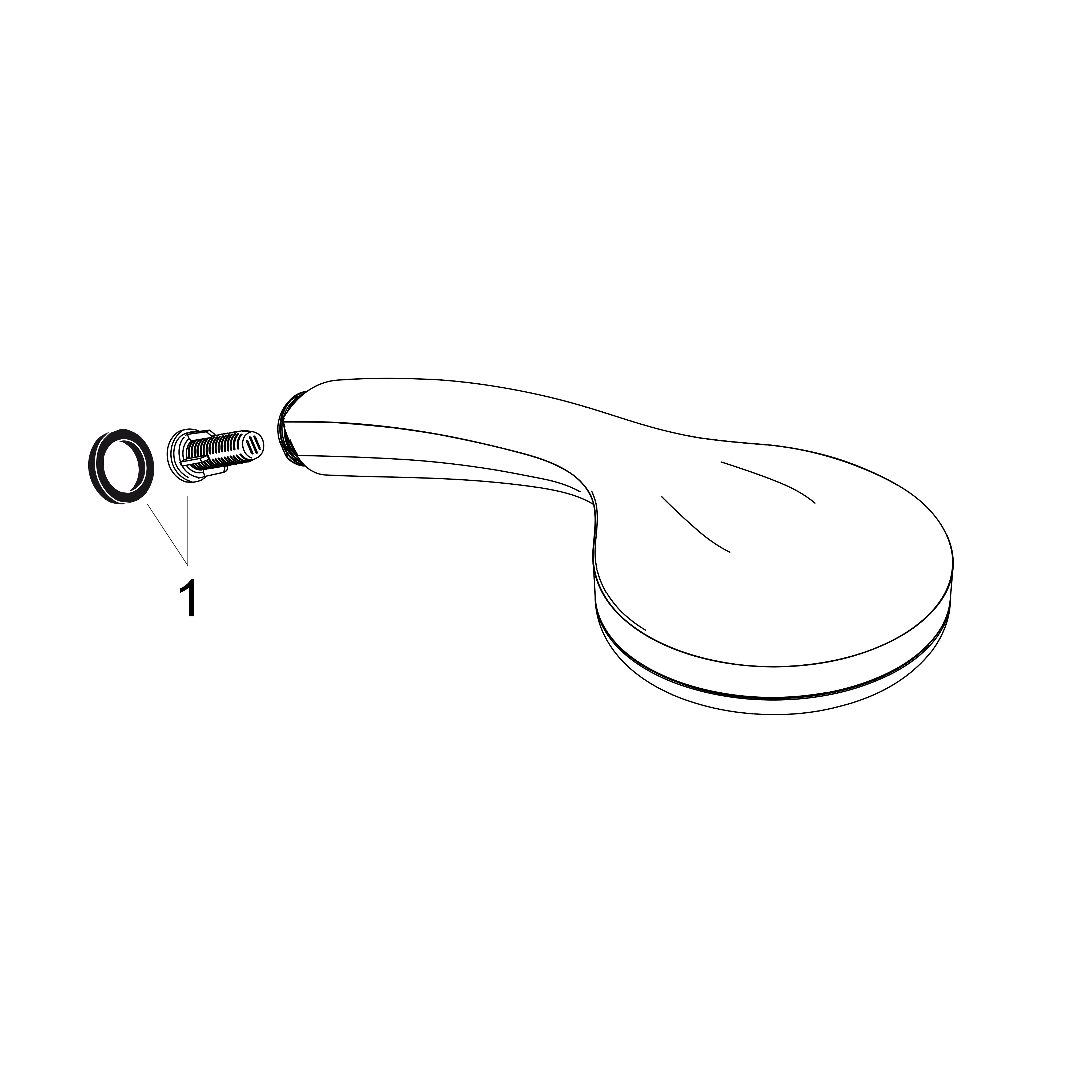 hansgrohe Hand shower hansgrohe 28580000 croma 100