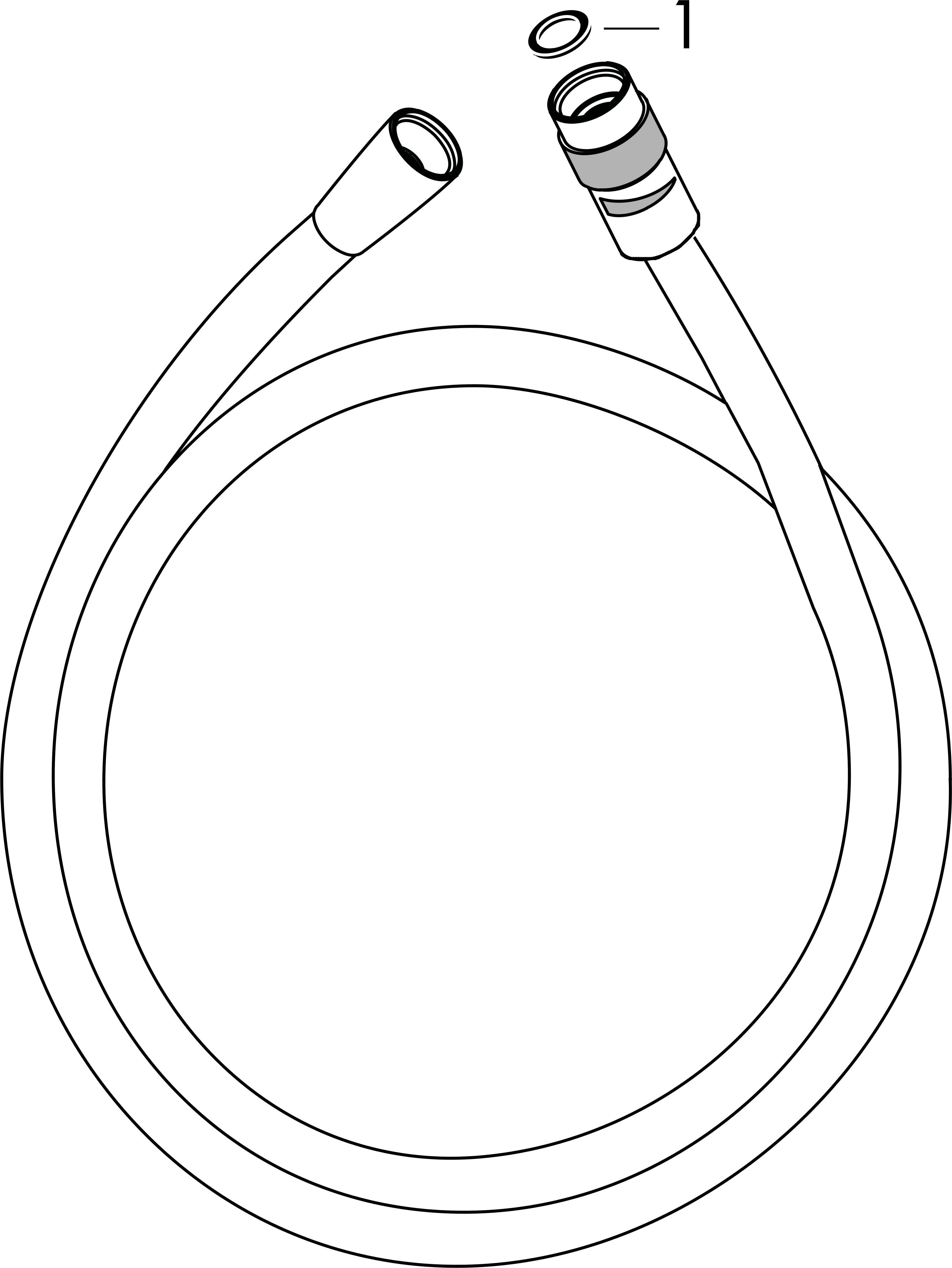 hansgrohe Duschslang hansgrohe 28248000 isiflex 160 cm