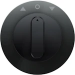 CENTRE PLATE R.1 F. SW 384103/384203 BLACK