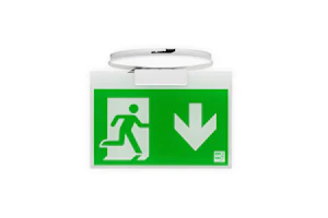 exilight Led guiding luminaire elx elx-1w-v exiot 230 vac