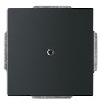 1742-885 BLANK PLATE WITH METAL MOUNTING PLATE