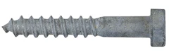 HEX COACH SCREW HDG 12X100 50pcs