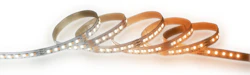 LED STRIP AMBIANCE 24V IP20 12W/M TW 5M