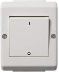 SWITCH SURFACE-MOUNTING H16/2VP V 2-POL IP55 SCREW CO.