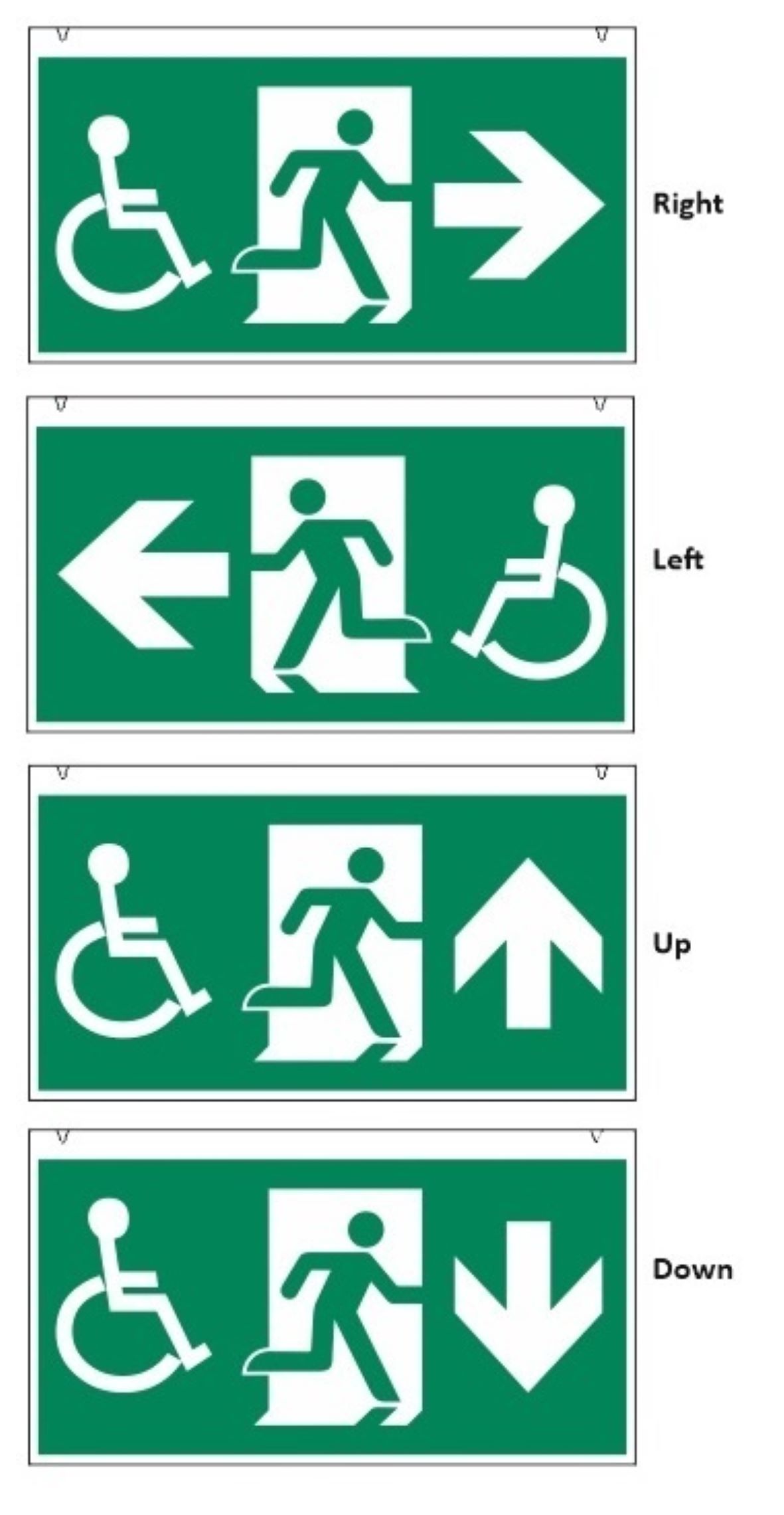 PICTOGRAM HANDIKAPP MULTILITE 40M