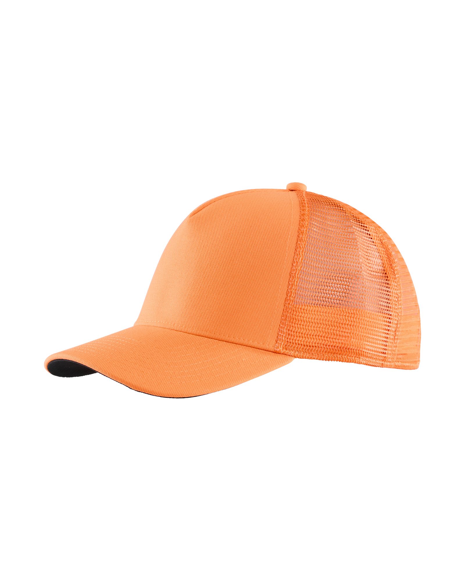 LIPPIS BLÅKLÄDER 2.07811E11