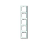 RAAM FUTURE LINEAR 5-LE ALPIVALGE