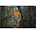 milwaukee Heated jacket milwaukee m12 hjcamo6-0 m