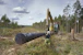 rundvirke poles Furustolpe elk e13 extra grov