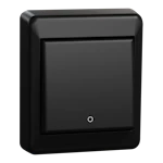 SWITCH ELKO RS16 RS 2-P SWITCH S BLACK