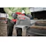 milwaukee Metal saw milwaukee m18 fmcs66-0c