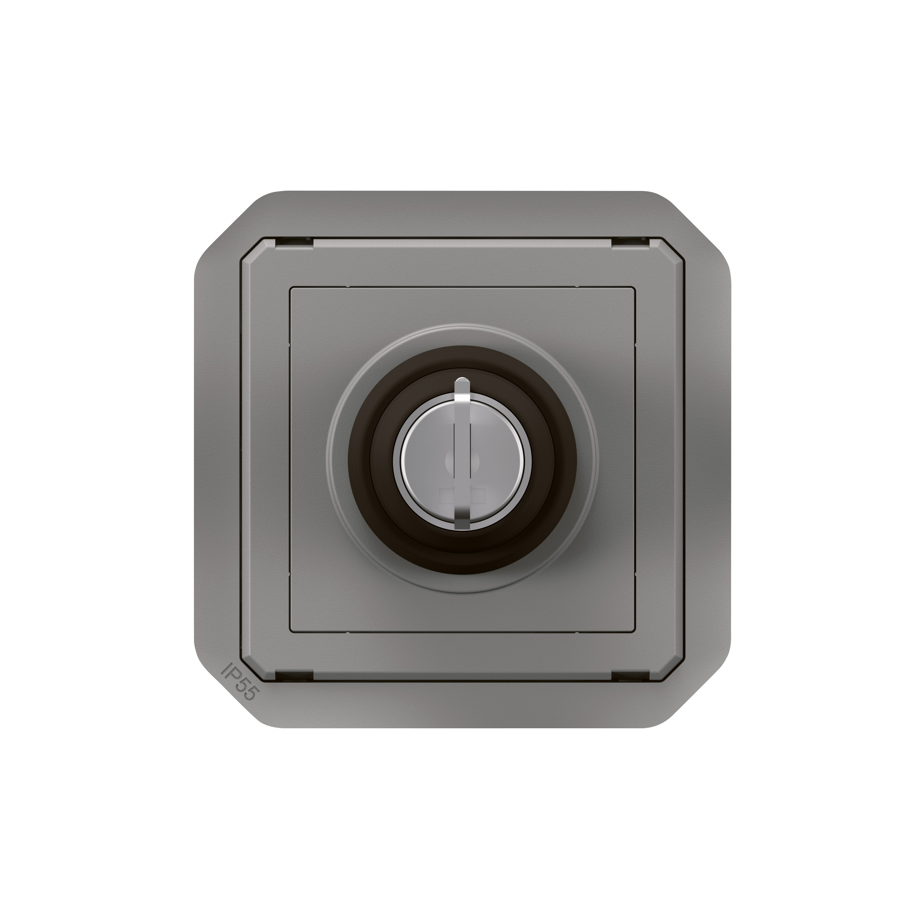 legrand Switch plexo 2w ronis key switch grey mech