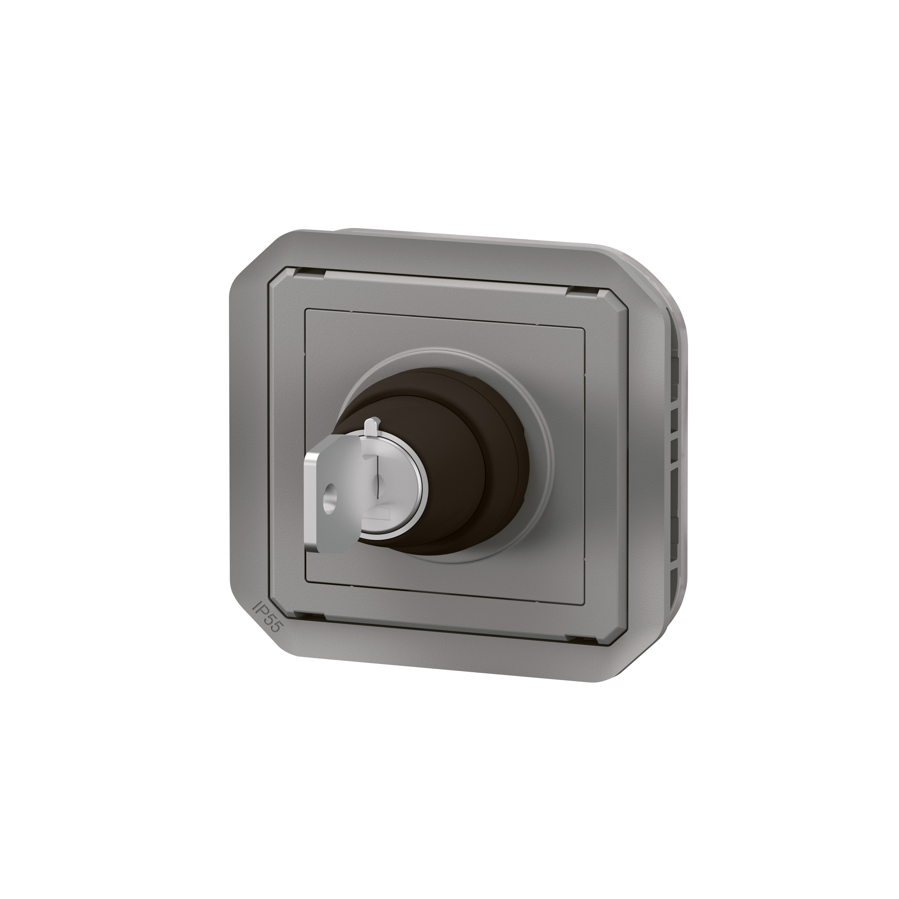 legrand Switch plexo 2w ronis key switch grey mech