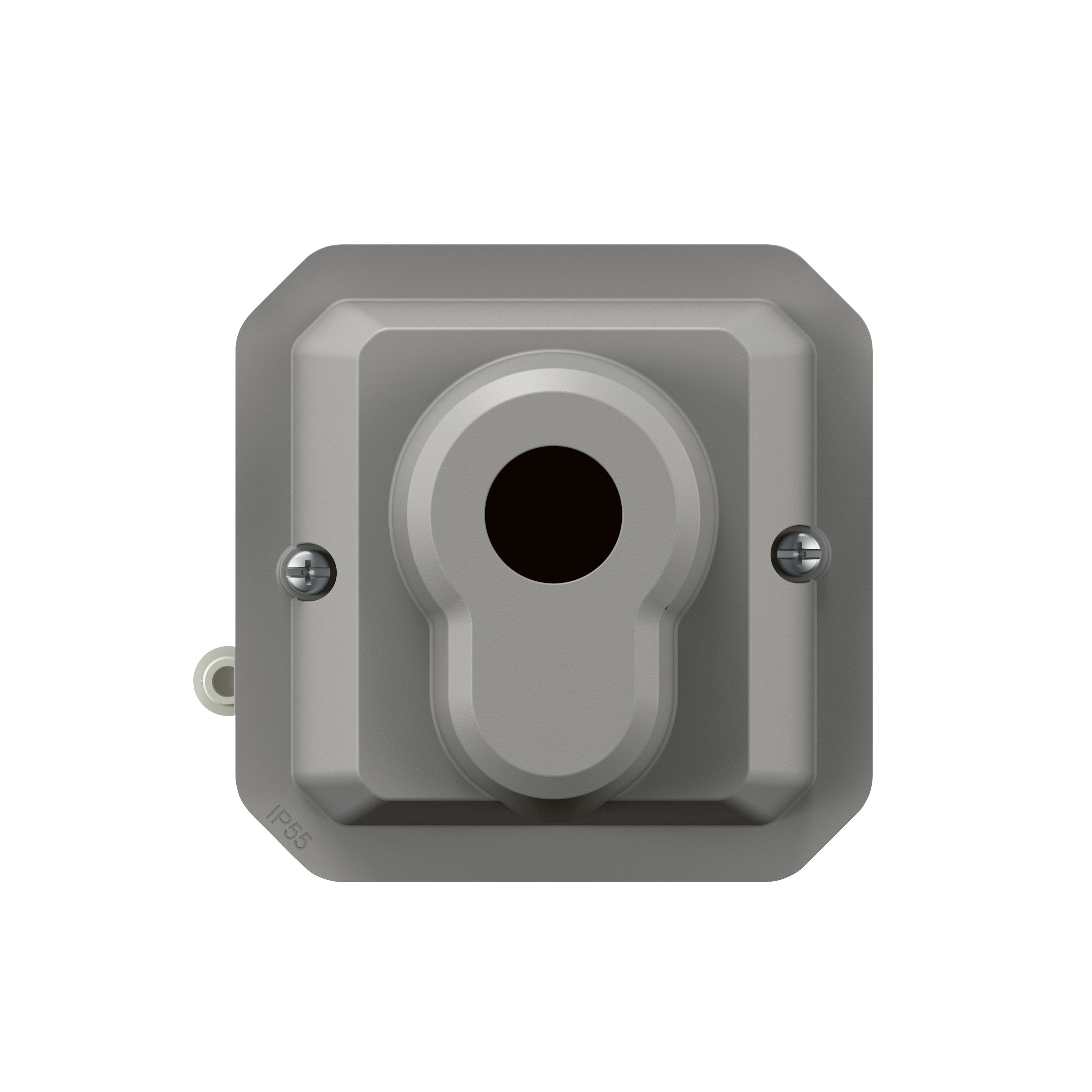 legrand Avbrytare plexo euro key barrel sw grey mech