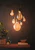 philips Led lamp classic-giant e27 818 300lm 28=5w g200 gold