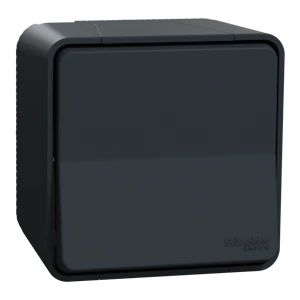 schneider electric Bryter 6/1 vekselvender grå