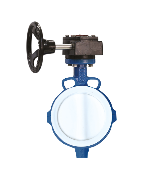 PÖÖRDKLAPP GGG50/AISI316 PTFE DN250 PN16 PTFE REDUKTOR