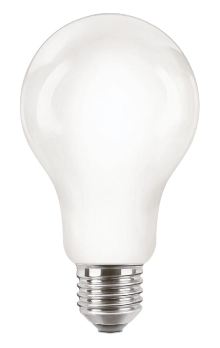 STANDARD LAMP COREPRO E27 827 2000LM 120W=13W A67 FR