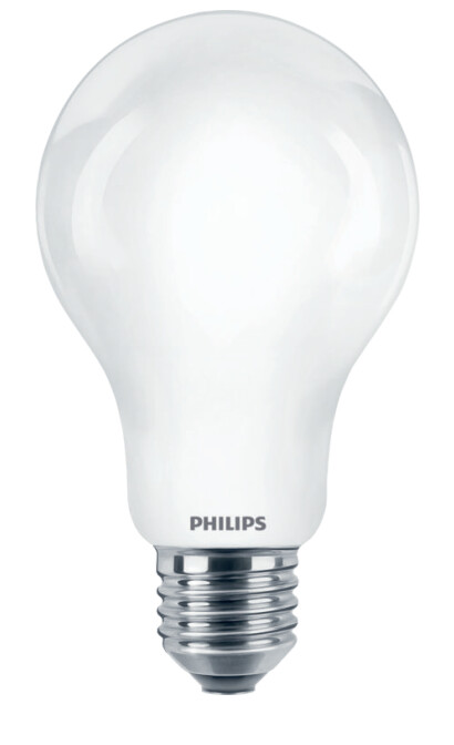 STANDARD LAMP COREPRO E27 865 2000LM 120W=13W A67 FR