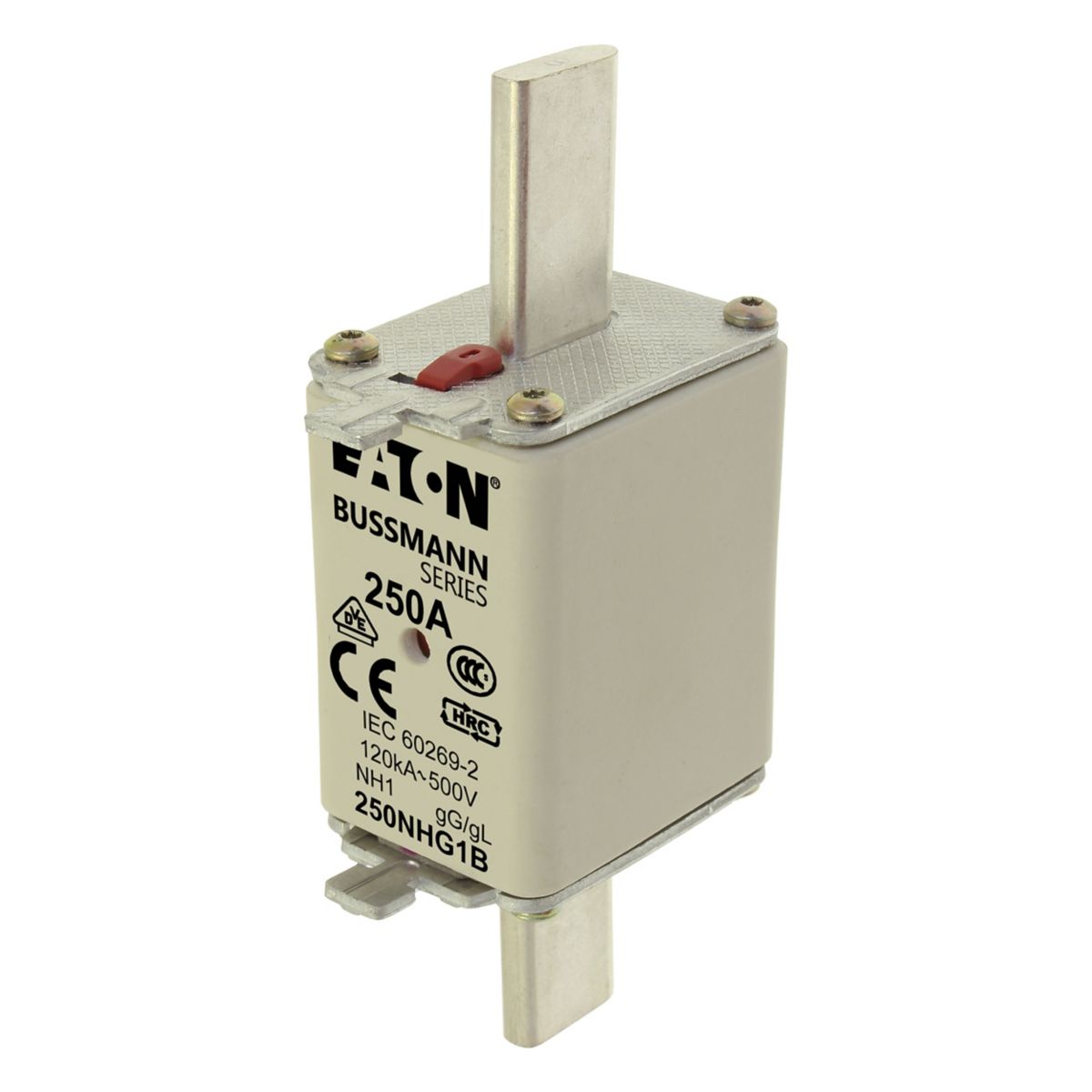 NH-1 500V GG/GL 250A