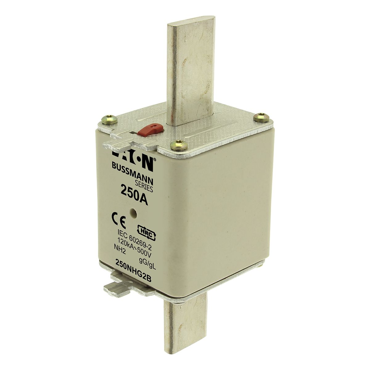 NH-2  500V gG/gL 250A