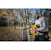 dewalt Klammerpistol dewalt dcfs950p2 18v 2x5ah
