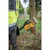 dewalt Trådtrimmer dewalt dcmst911n 54v xr solo