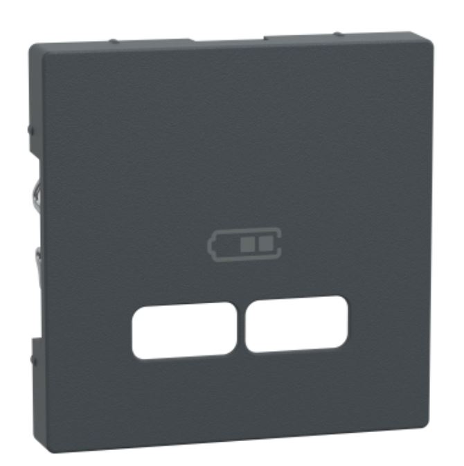 MERTEN SYSTEM-M USB LAADIJA KESKPLAAT ANTRATSIIT