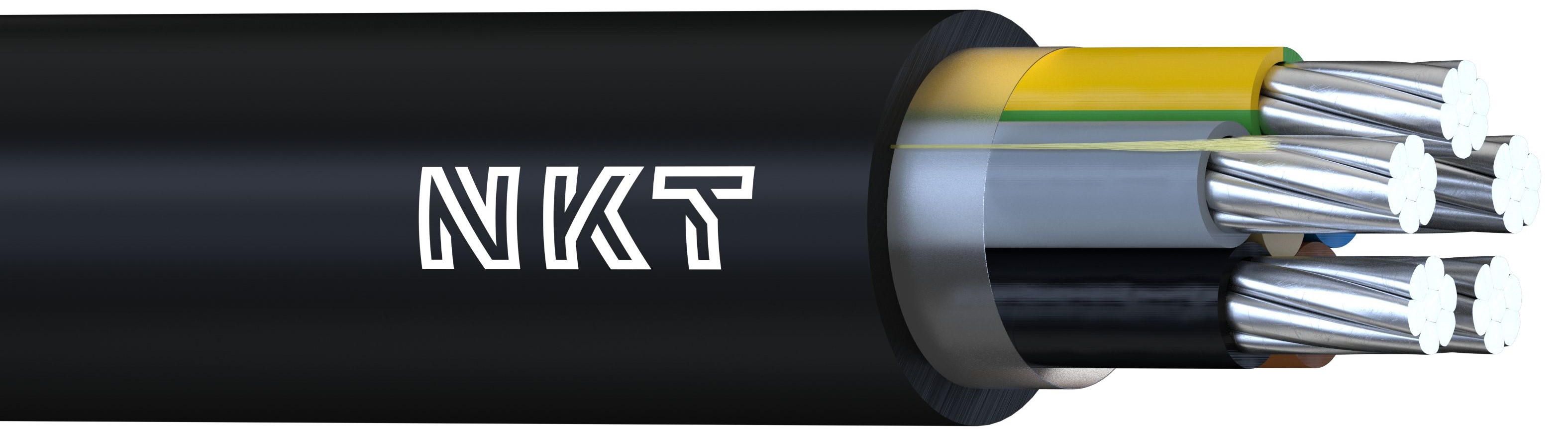 N1XE-AR 5G25 1KV