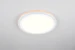 trio Ceiling lamp trio cora 325 11+1,2w/1550+210lm wh
