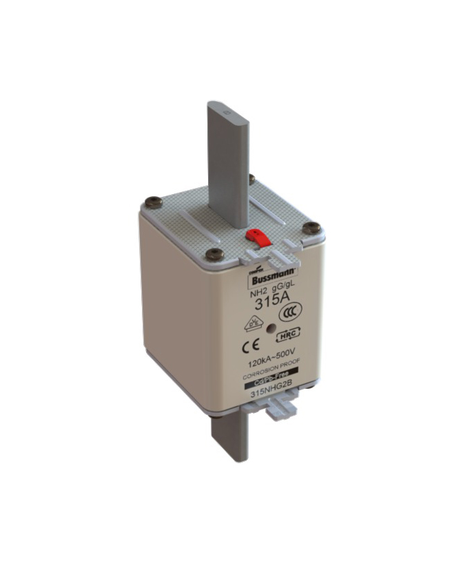 LÜKANDSULAVKAITSE 315A NH2 GG-GL 500VAC