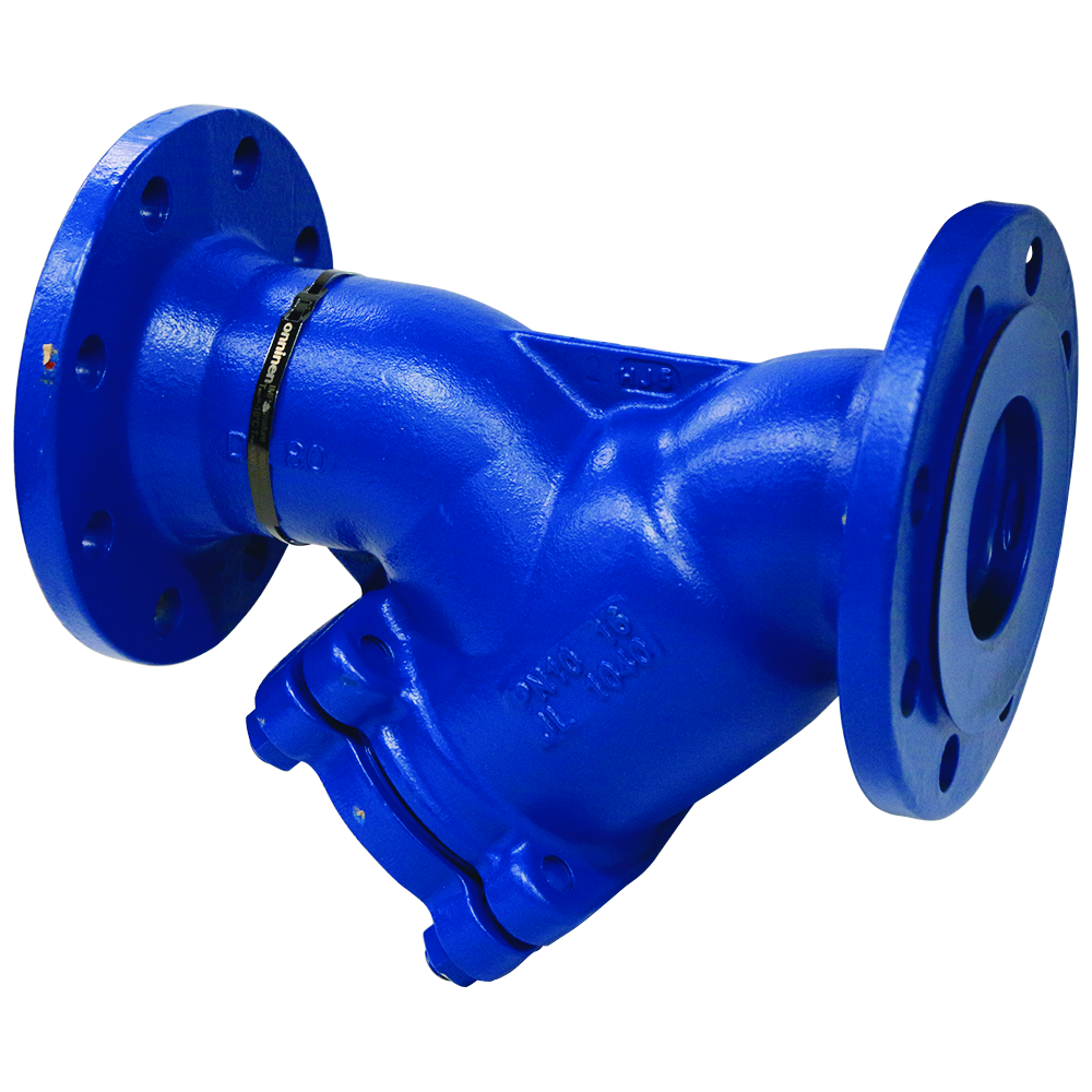 STRAINER DN80 PN16 FLANGE GG25 8821L