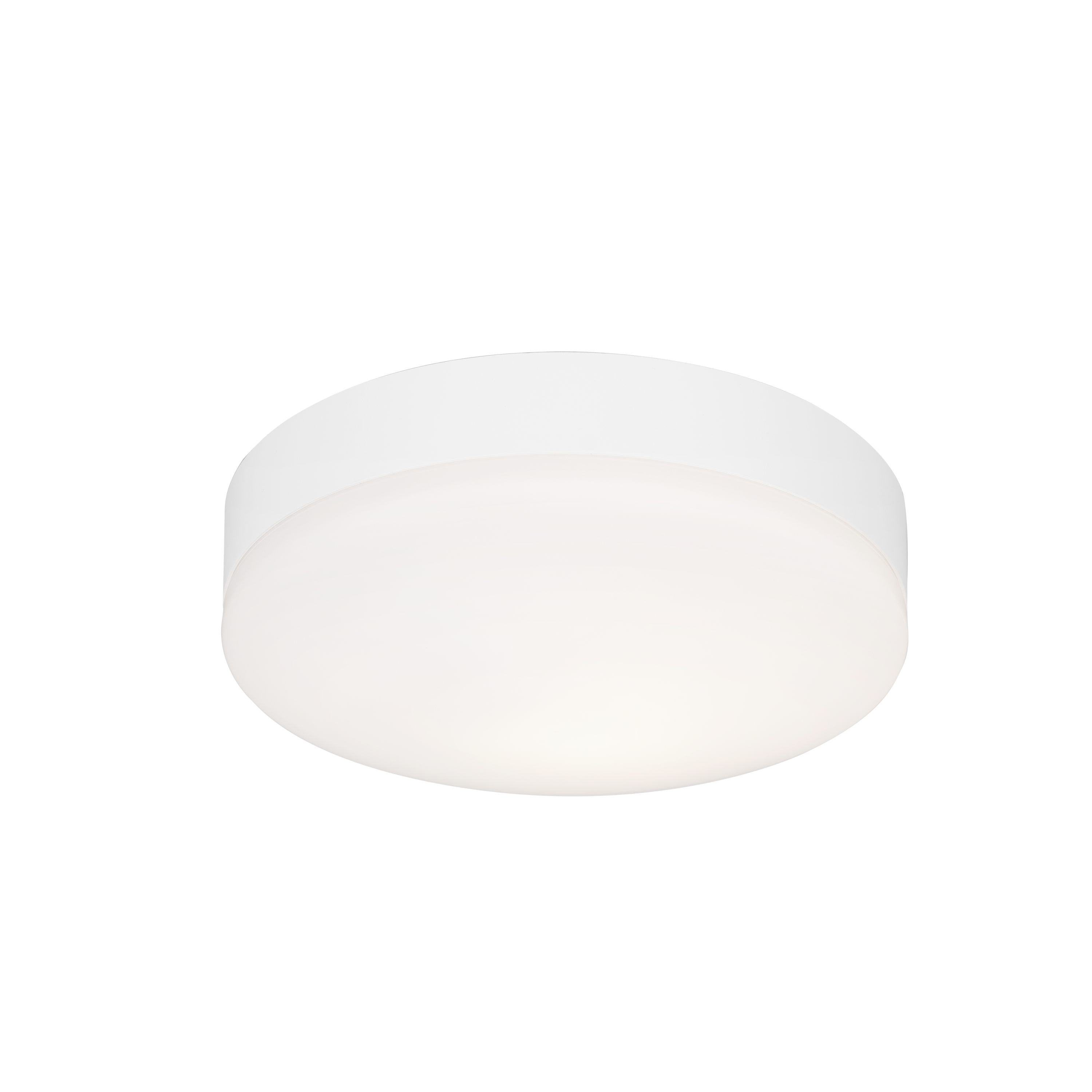 SURFACE MOUNTED LUMINAIRE IP44 IK04 E27 255mm WH