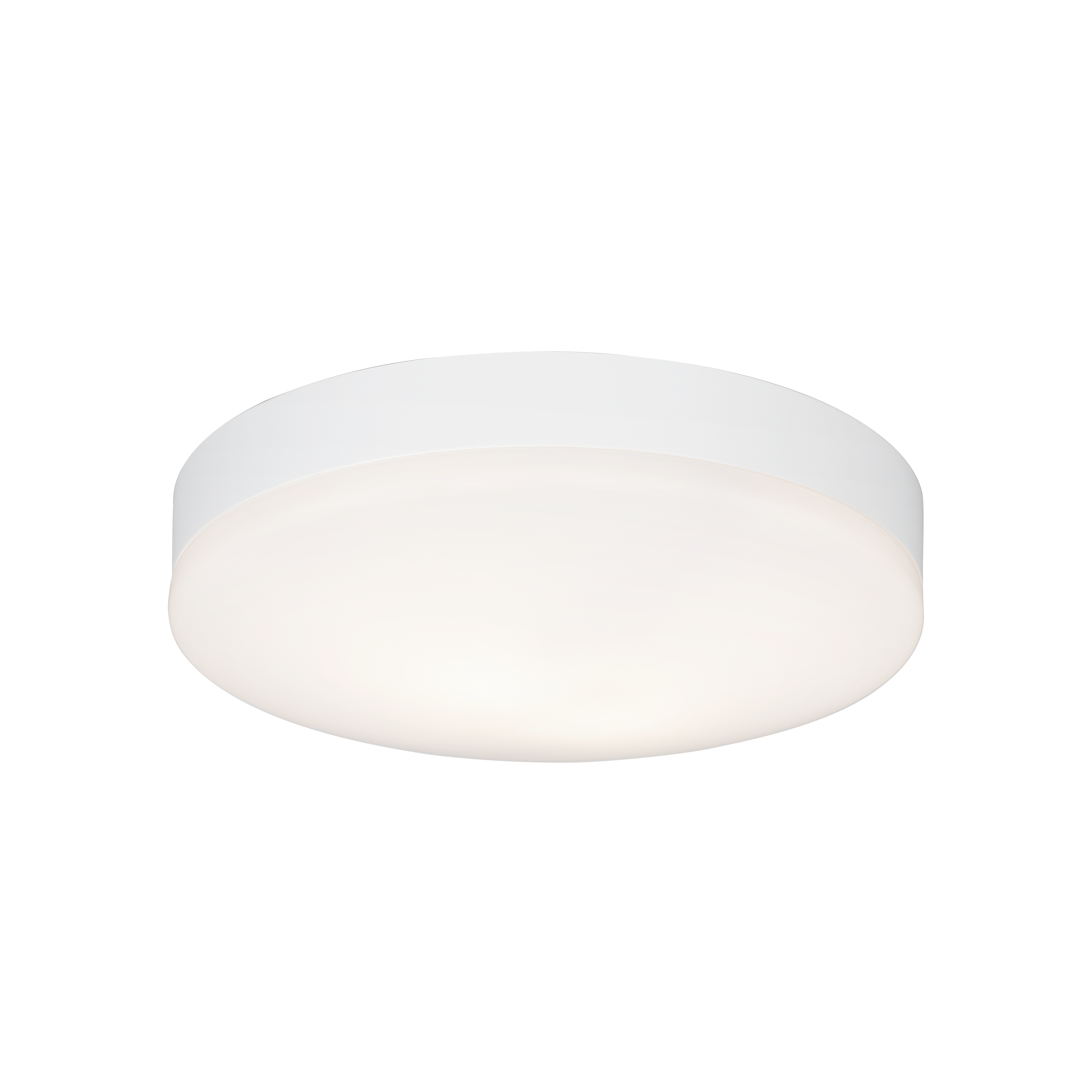 SURFACE MOUNTED LUMINAIRE IP44 IK04 E27 320mm WH
