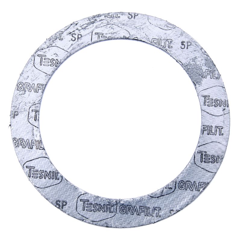 GRAFITINĖ ARMUOTA TARPINĖ DN200 T=450°C PN40 3MM