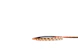 hide-a-lite Led-strip ledstrip rx ledstrip rx tune ip20 24v 5m